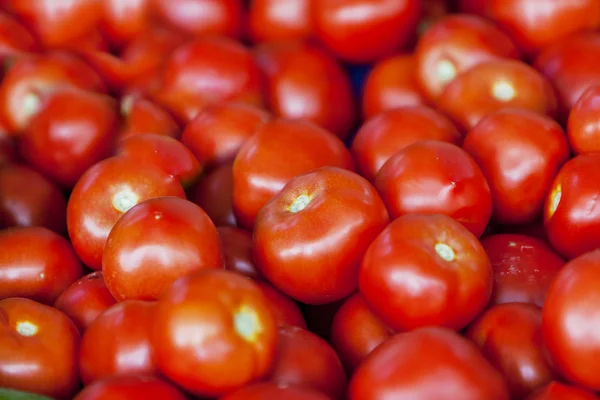 Pomodori freschi sul mercato — Foto Stock