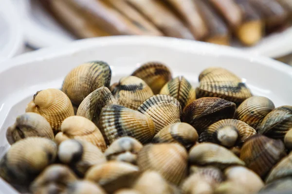 Raw clams plate — Stock Photo, Image