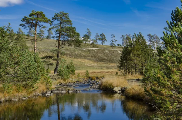 Zlatibor dağın Sırbistan