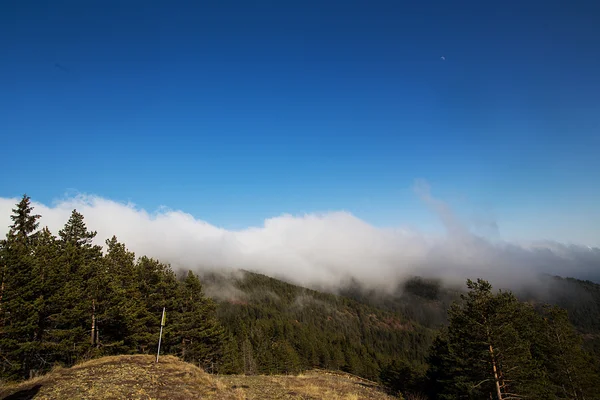 Panoramablick auf die Berge — Stockfoto