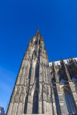 Köln Katedrali görünümü