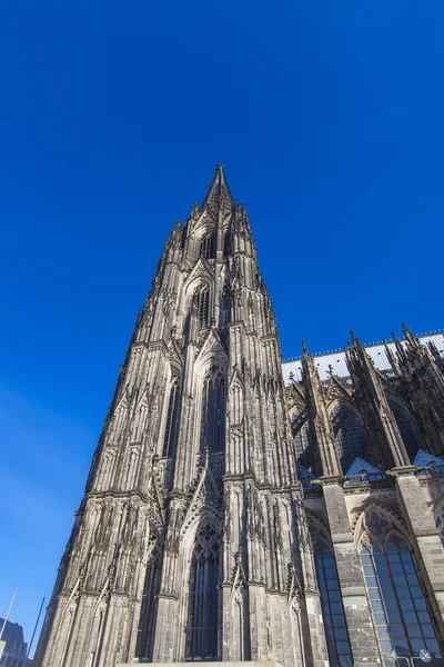 Vue sur la cathédrale de Cologne — Photo