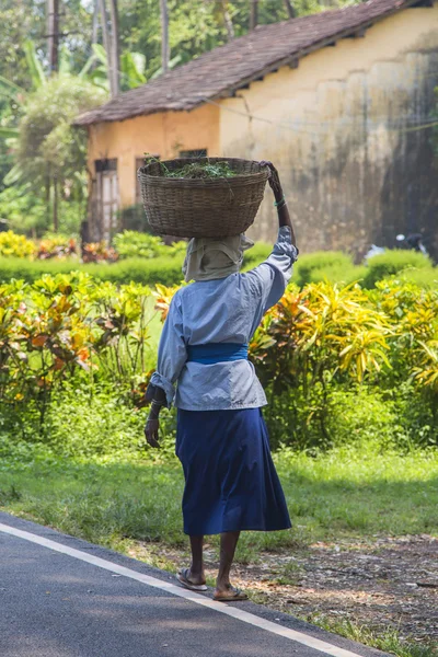 Kvinna som bär vikt i Goa, Indien — Stockfoto