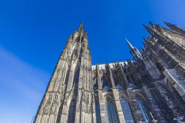 Catedral de Colonia vista — Foto de Stock