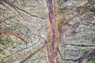 Mermer görünümü kapatın