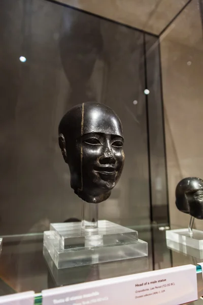 Head of male statue — Stock Photo, Image