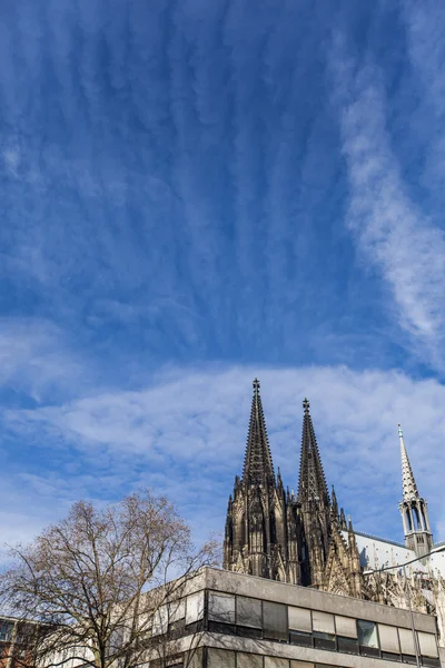 Καθεδρικός ναός Κολωνίας στη Γερμανία — Φωτογραφία Αρχείου