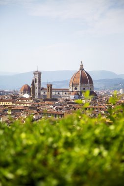 Floransa şehir, İtalya