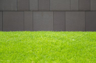 Duvar ve yeşil çimen