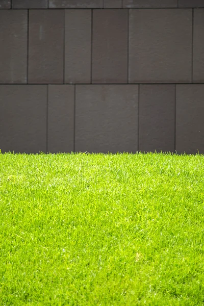 墙和绿草 — 图库照片