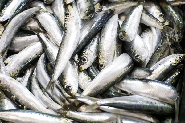 Peces en el mercado de pescado —  Fotos de Stock