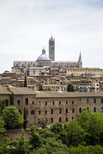 Siena vista, Italia — Foto Stock