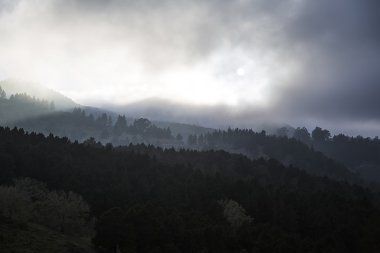 Parque doğal de Pilancones Gran Canaria