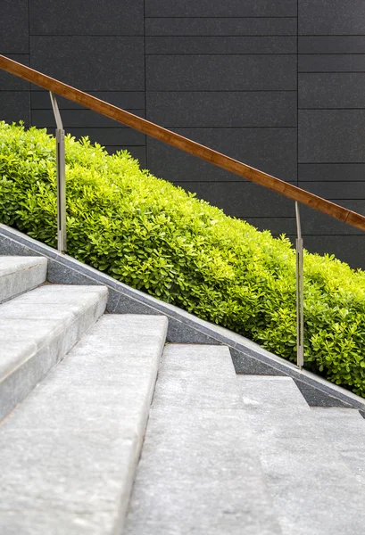 Trappen en groen gras — Stockfoto