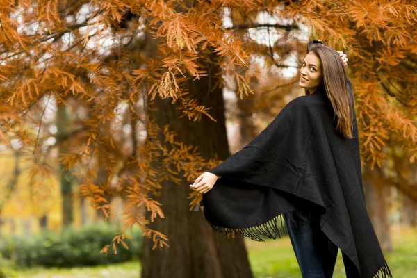 Mulher no parque de outono — Fotografia de Stock