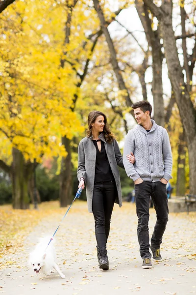 Coppia amorevole nel parco autunnale — Foto Stock