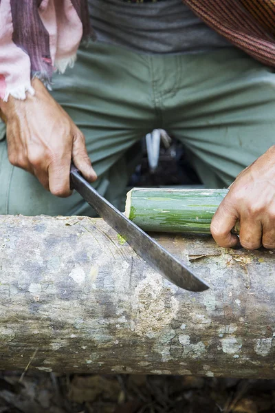 Homem serrar bambu — Fotografia de Stock
