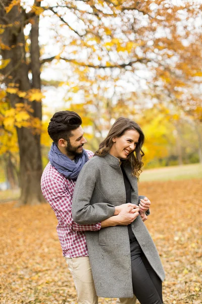 Jovem casal no parque de outono — Fotografia de Stock