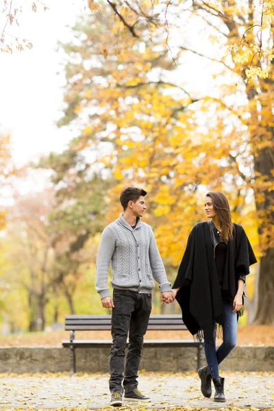 Loving couple in the park — Stock Photo, Image