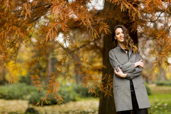 Sonbahar parkındaki genç kadın. — Stok fotoğraf