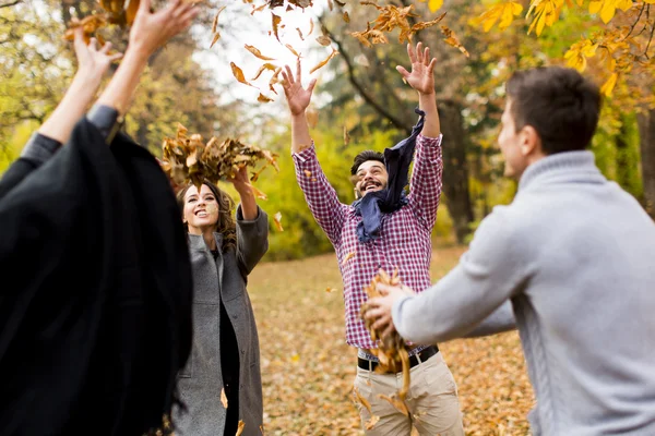 Young people in autumn park — Stock Photo, Image