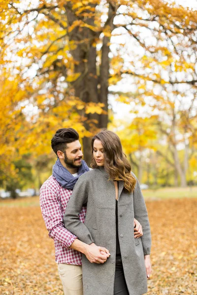 Jovem casal no parque de outono — Fotografia de Stock