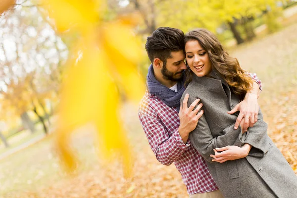 Coppia giovane nel parco autunnale — Foto Stock