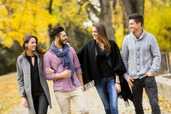 Jóvenes en el parque de otoño — Foto de Stock