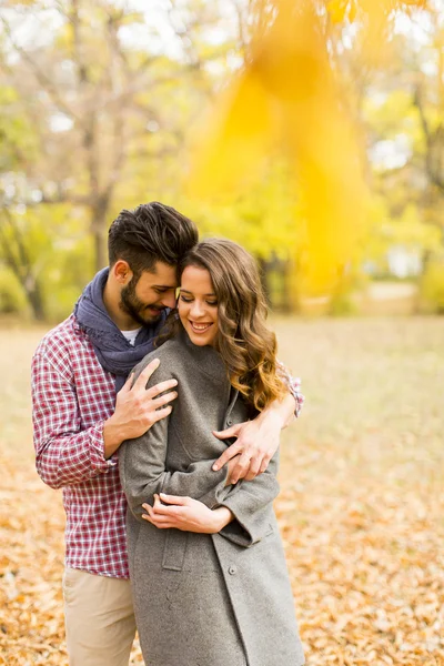 Pareja joven en el parque de otoño —  Fotos de Stock