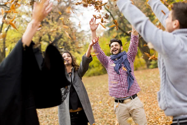 Giovani nel parco autunnale — Foto Stock