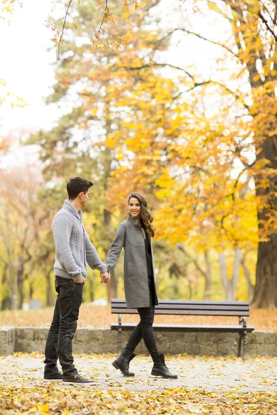 Jovem casal no parque de outono — Fotografia de Stock