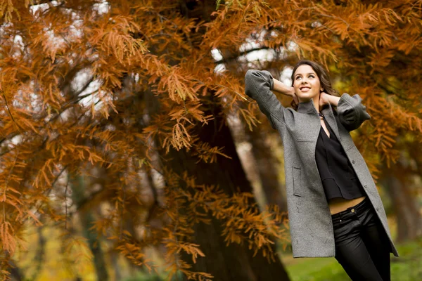 Mulher no parque de outono — Fotografia de Stock