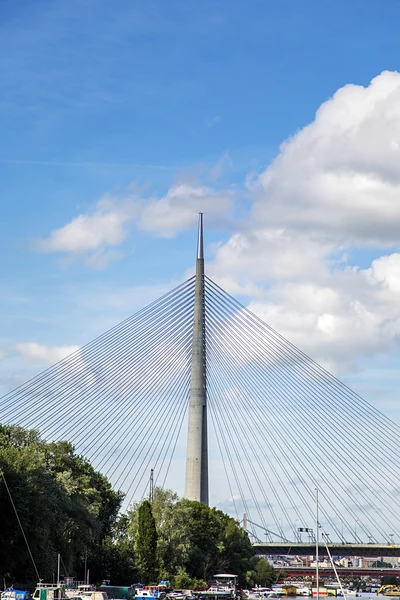 Sava in belgrad, serbien — Stockfoto