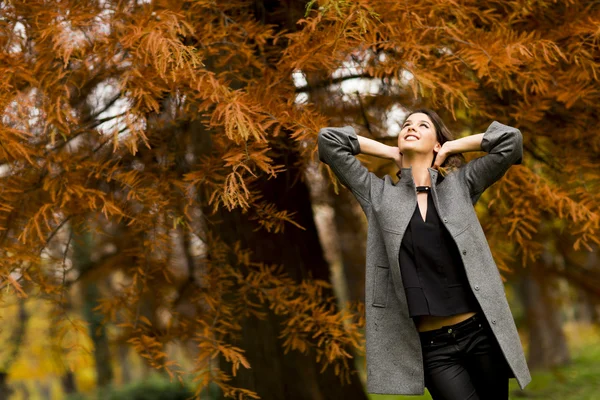 Woman in autumn park — Stock Photo, Image