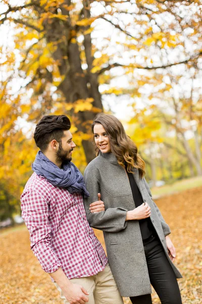 Jovem casal no parque de outono — Fotografia de Stock