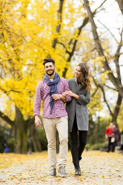 Young couple in the autumn park — Stock Photo, Image