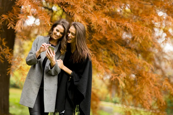 Mulheres jovens com telefone celular — Fotografia de Stock