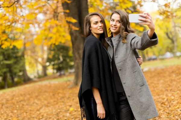 Giovani donne nella foresta autunnale — Foto Stock