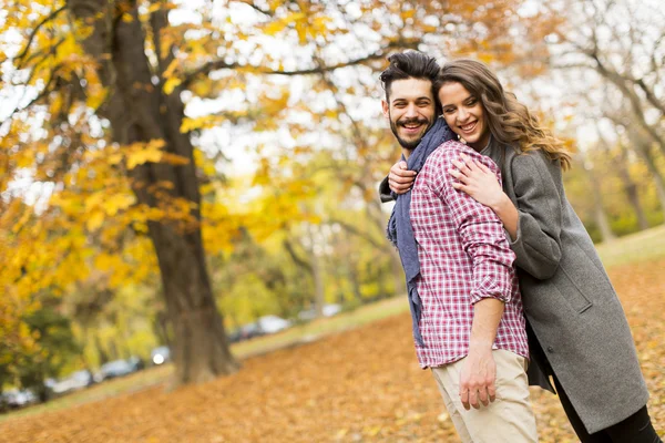 Young couple in the autumn park — Stock Photo, Image
