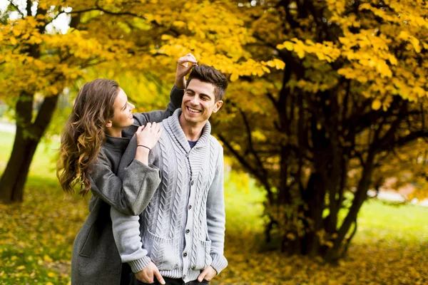 Couple in autumn park — Stock Photo, Image