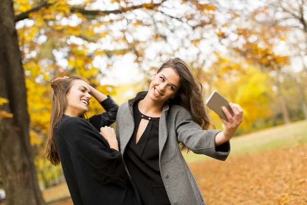 Giovani donne nella foresta autunnale — Foto Stock