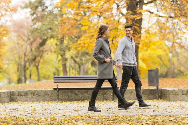 Jovem casal no parque de outono — Fotografia de Stock