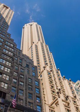 New York Şehri