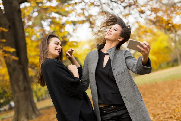 Giovani donne nella foresta autunnale — Foto Stock