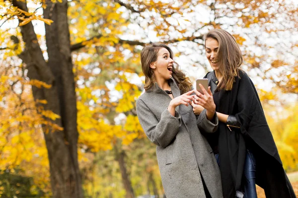 Woman with mobile phone — Stock Photo, Image