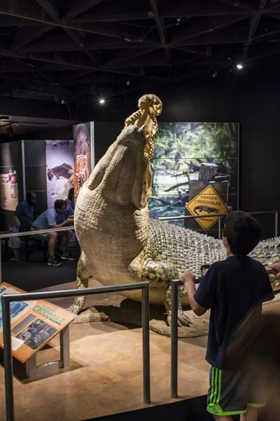 Cocodrilo de agua salada en el Museo Americano de Historia Natural en Nueva — Foto de Stock