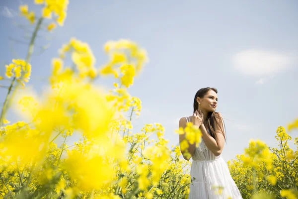 Jeune femme dans le champ de printemps — Photo