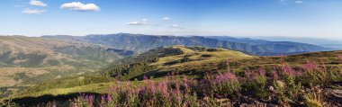 Stara planina mountain in Serbia clipart