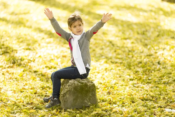 Little girl in the autumn park — Stock Photo, Image
