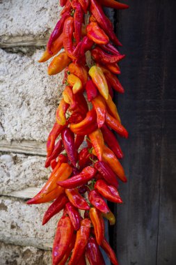 kırmızı biber biber